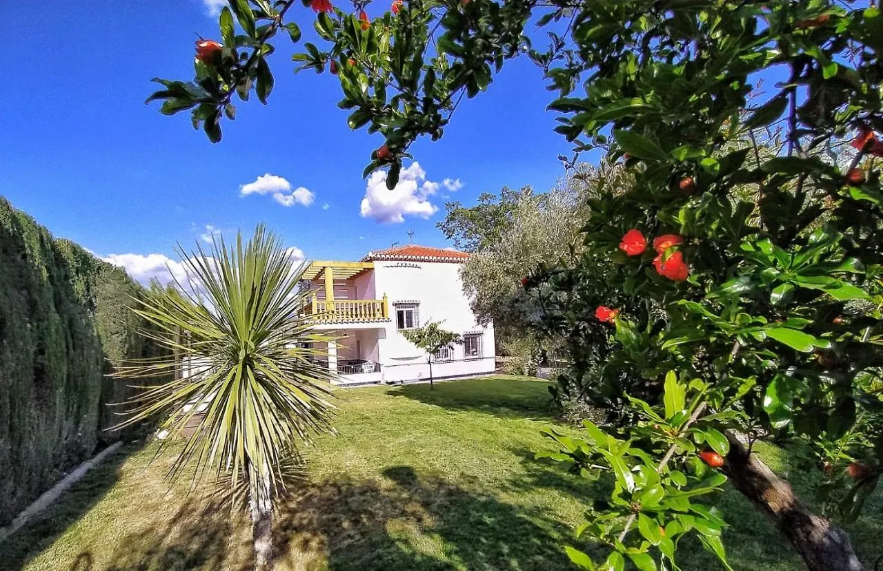 Villa De Los Suenos En Granada